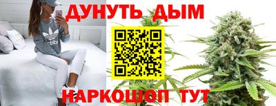 крисы Обнинск