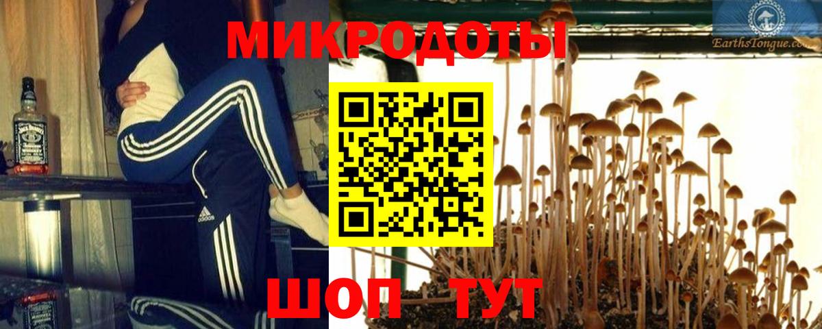 Псилоцибиновые грибы GOLDEN TEACHER Тавда