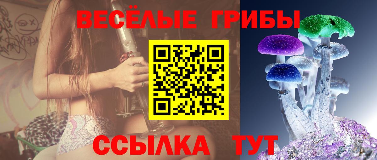 Тавда  Псилоцибиновые грибы ЛСД  Вход с VPN 